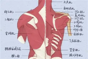 包含重磅：Karsa即将开启常规赛调的词条